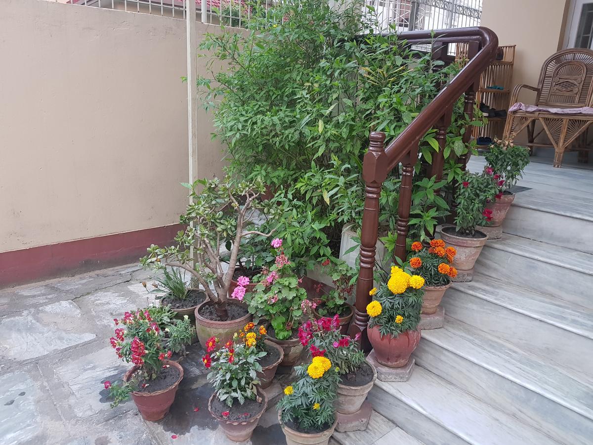 Cozy Home Jawlakhel Εξωτερικό φωτογραφία